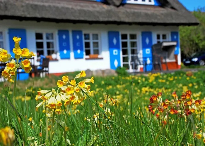 Unterm Reetdach Holiday home